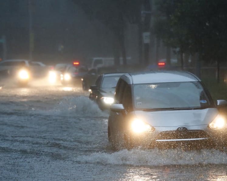 Start Total Defence programme to build national consensus on climate threat