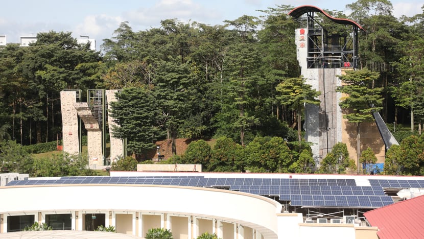 MOE suspends outdoor high-element activities after death of ACS(I) boy who attended school camp at Safra Yishun