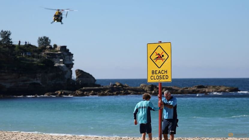 Sydney's Coogee Beach Reopens After Shark Attack, Under Heavy Patrols