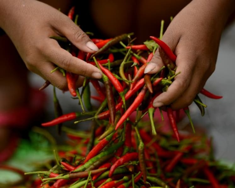 Maid jailed for stuffing chilli padi into girl's mouth, hitting her