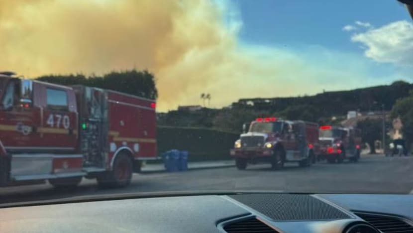 Related article image