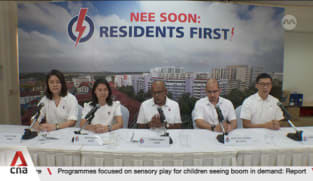 GE2025: K Shanmugam to lead overhauled PAP team in Nee Soon GRC contest