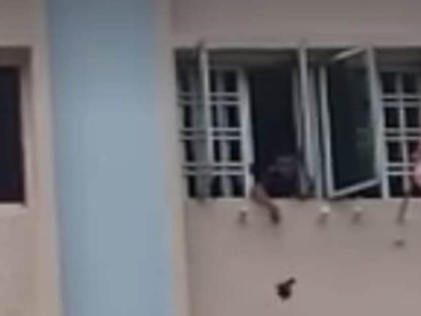 A screengrab from a video posted by the Animal Concerns Research and Education Society showing a home owner suspending a live mynah from a string from his window.