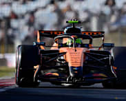 Norris fastest in final Hungarian GP practice, Hamilton second