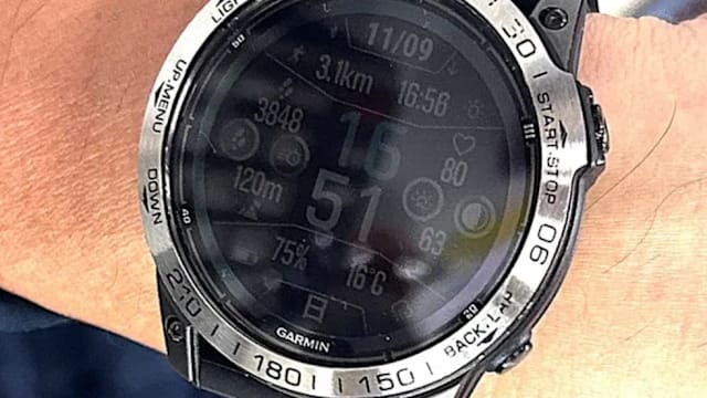 日本男子遭棕熊袭击致死 智能手表揭过程