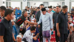 Related article image