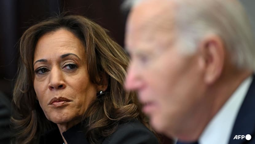 Harris slams Biden 2024 re-election bid as 'recklessness'
