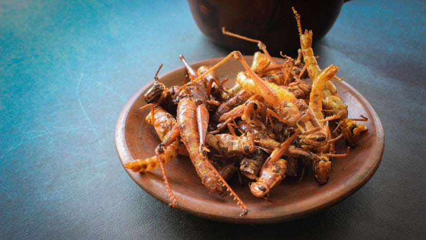 Belalang dan ulat sagu akan jadi menu Makan Bergizi Gratis