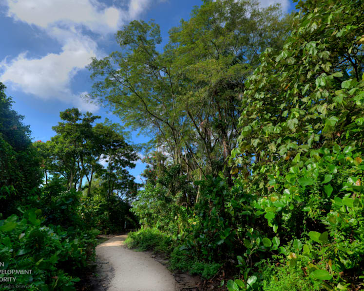 Rich biodiversity on offer as Kranji Marshes open