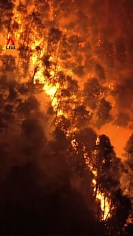 Over 1,800 evacuated as wildfires rage across northern Japan