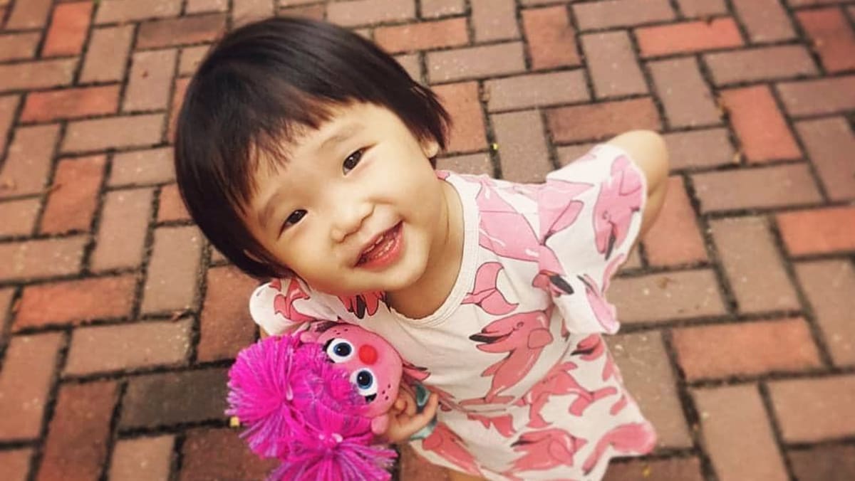 Megan Khung fatal abuse case: MSF to set up social services coordination centre, strengthen oversight