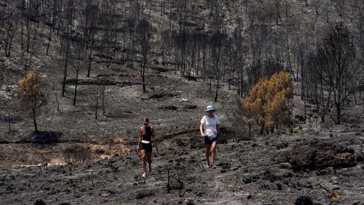Five Britons among foreign Spanish wildfire victims