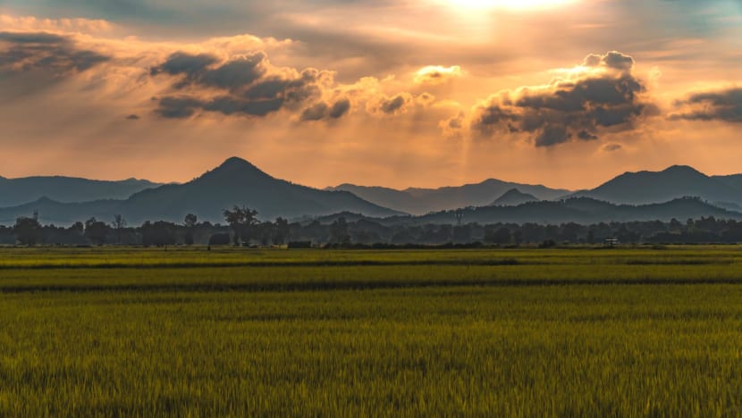 Adaptation and resilience: An investment opportunity in a changing world Adaptation and resilience: An investment opportunity in a changing world