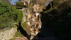 Related article image