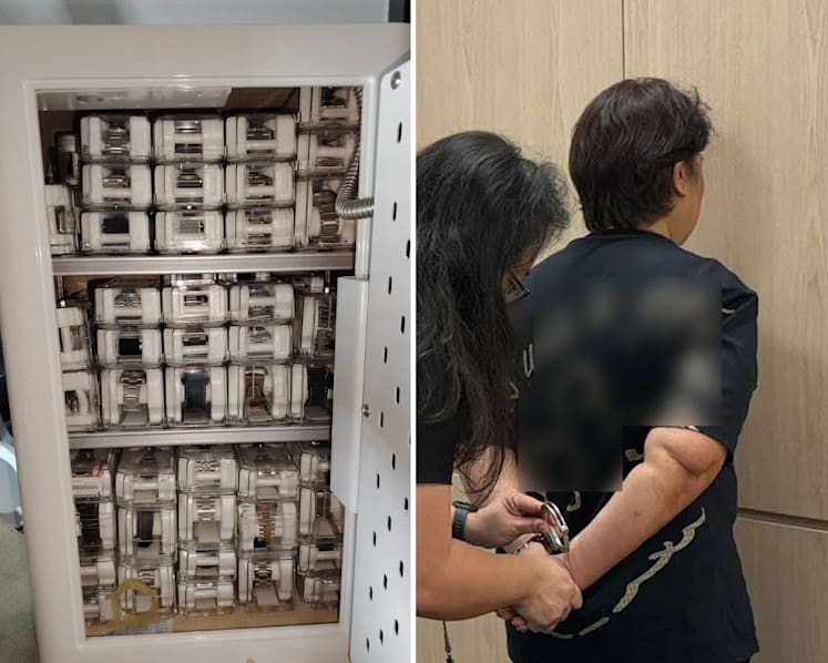 Woman arrested, 179 luxury watches worth over S$1 million seized in IRAS raids