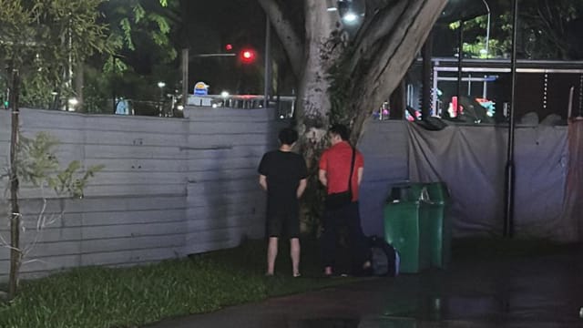 又一宗！两男在大巴窑大树下撒尿