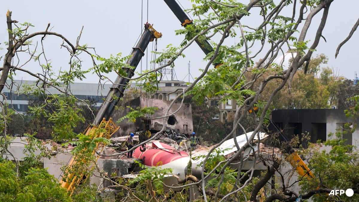 Indian pilots demand further probe of Air India crash