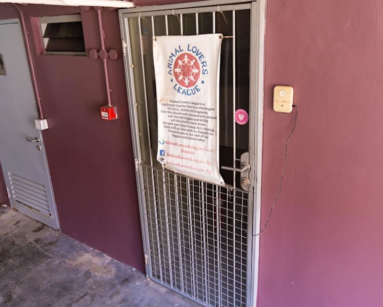 Commissioner of Charities opens inquiry into animal shelter Animal Lovers League