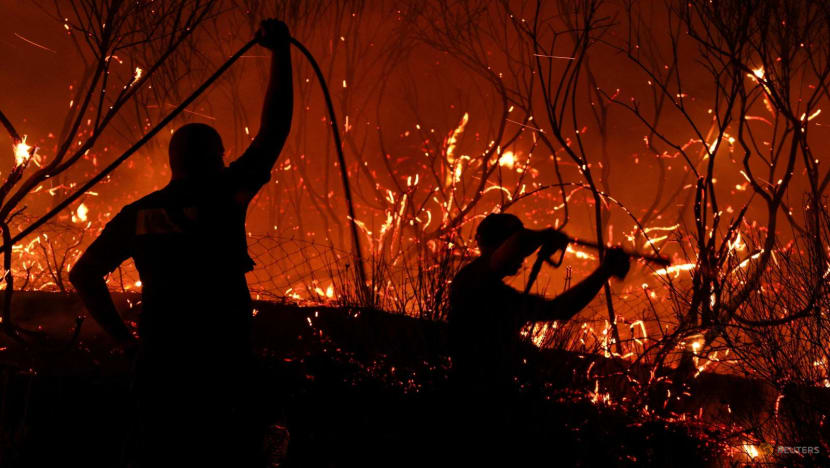 Wildfires kill three across southern Europe, force thousands to evacuate