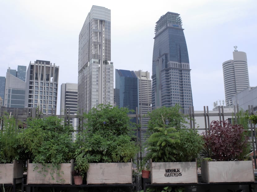 Raising the bar for a greener cocktail scene