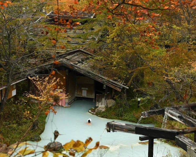 How to see Japan’s autumn the slow and scenic way