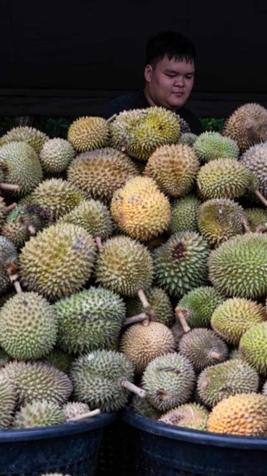 Malaysians feast as 'durian tsunami' sends prices tumbling