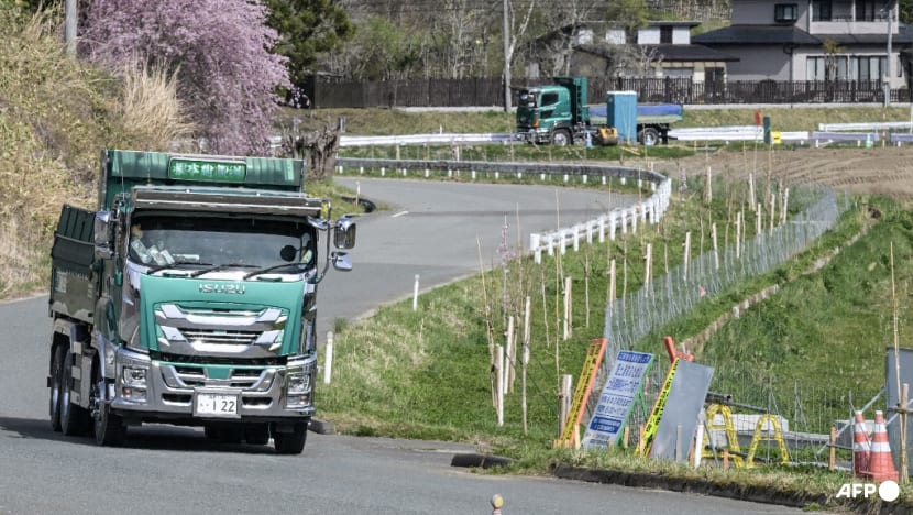 Japan allows longer nuclear plant lifespans