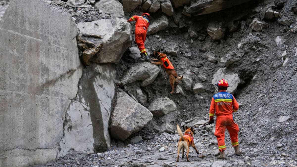 Tibet death toll from Himalayas flood now 43 with 519 missing: Chinese media