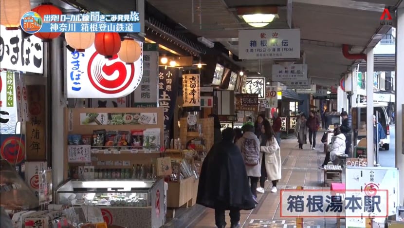 Road Trip On Hakone Tozan Railway - Part 1