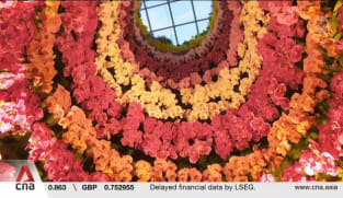 More than 6,000 orchids on display at Gardens by the Bay, making 60 years of nation building