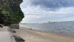 Related article image