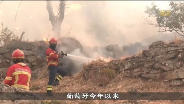欧洲南部遭热浪袭击 已有至少三人死亡