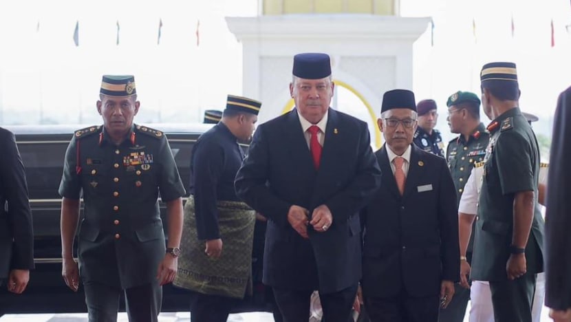 Snap Insight: How will the Johor sultan serve Malaysia as its next king?