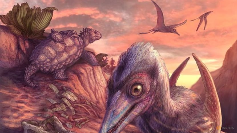 Arizona fossils reveal an ecosystem in flux early in the age of dinosaurs