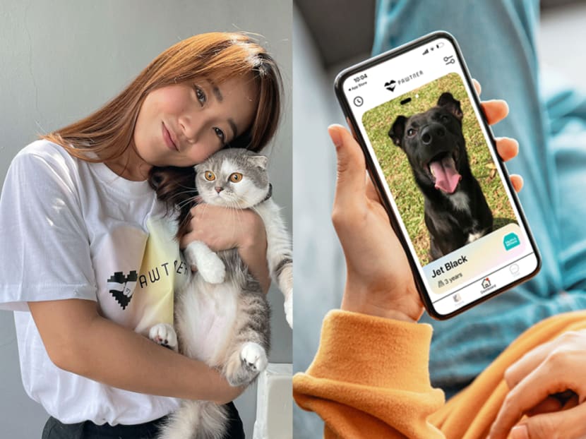 Looking to adopt a dog or cat? This millennial wants to simplify the process with a matchmaking app Looking to adopt a dog or cat? This millennial wants to simplify the process with a matchmaking app