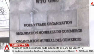 WTO warns global trade outlook has 'deteriorated sharply' after US tariffs