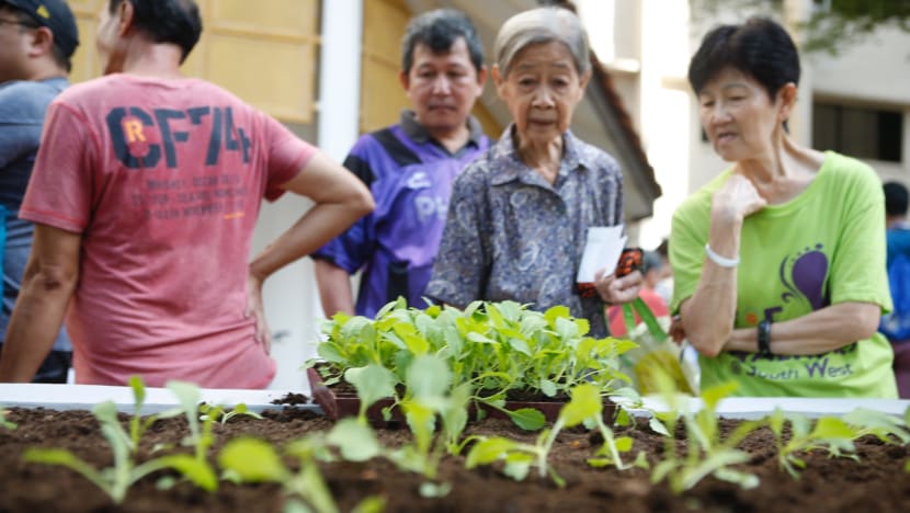 New initiative to help neighbourly ties blossom in South West District