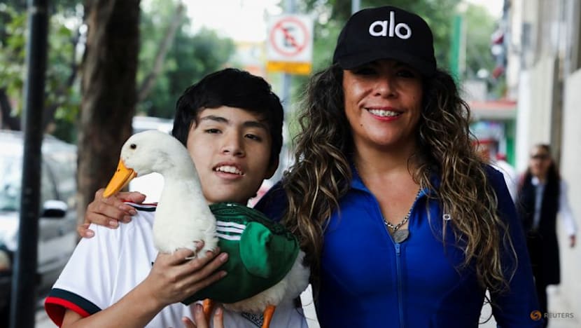 Merlin the duck: From Mexico City streets to World Cup stardom