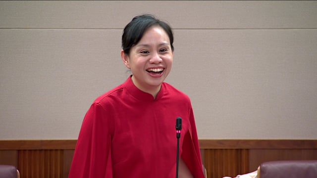 陈诗韵提出休会动议 建议为年轻人和家庭创造更亲家庭条件