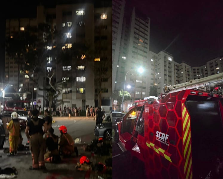 Man started fire due to delusion that neighbour was attacking him, landing firemen in hospital