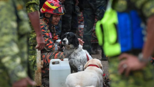多只搜救犬已筋疲力尽 马警今再传召三农场员工录口供 