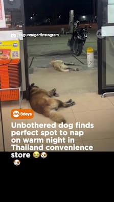 Sawadee.... shiok!  #8dayssg #8dayssgtrending #fypsg #shiok #thailand 
