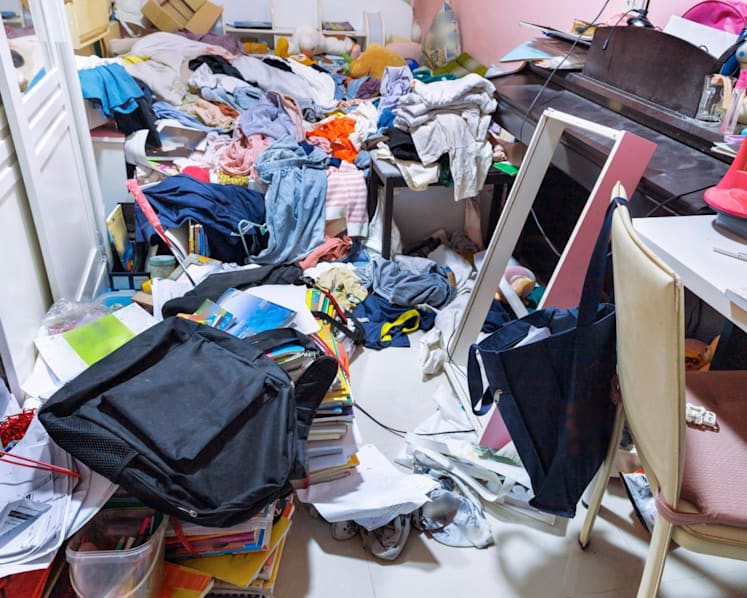 260 active hoarding cases being dealt with; difficulties in getting some homeowners to cooperate: MND