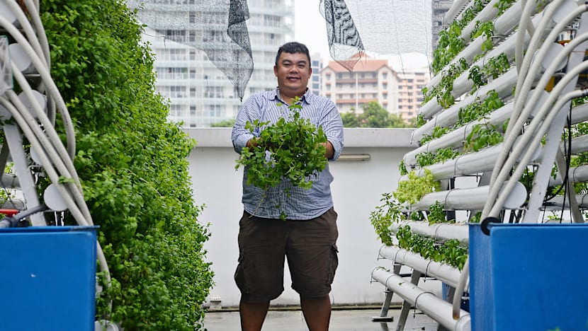 Farming, one rooftop at a time