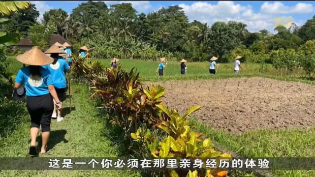 口试练习：本地学府逐步恢复国外浸濡活动