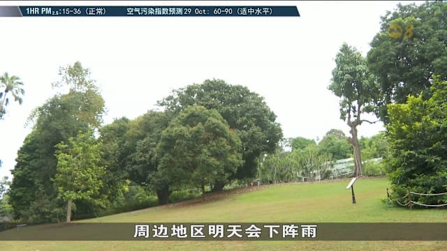 本地空气质量保持良好 24小时空气污染指数维持中等水平