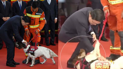 HK Search & Rescue Dog Steals The Show Upon The Team’s Return Home After Myanmar Disaster Relief Efforts