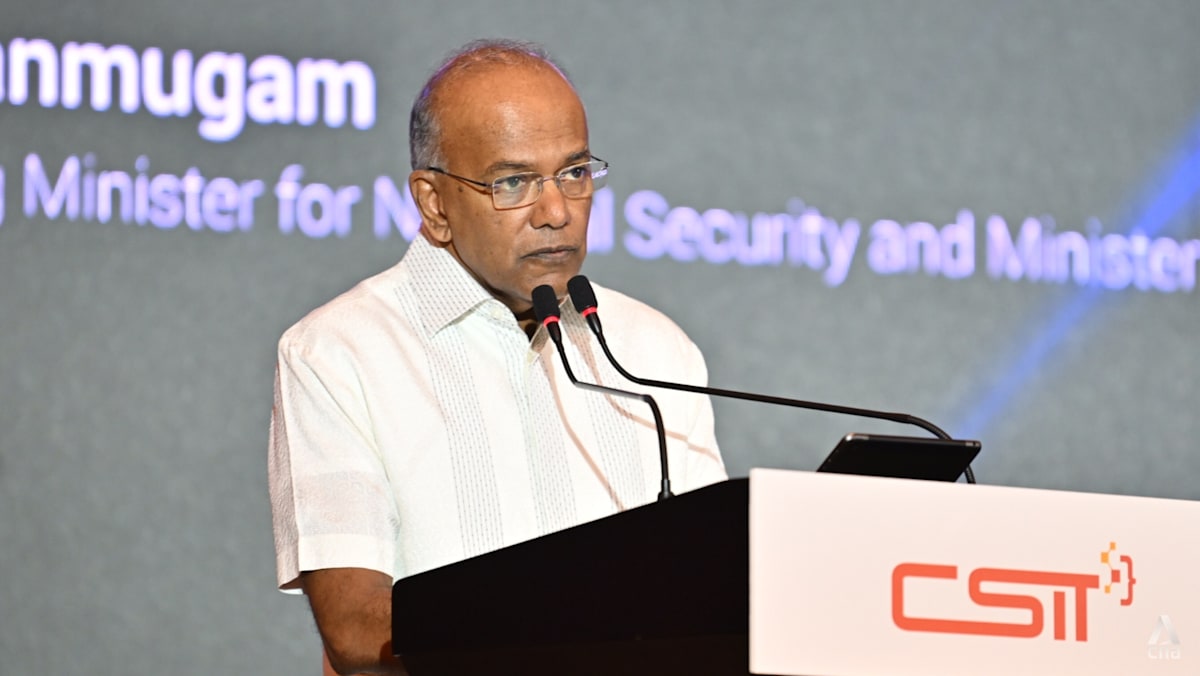 Singapore sets up digital defence unit to deal with threats to critical infrastructure