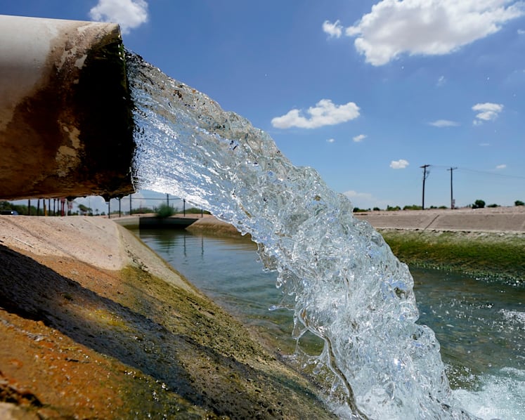 Governments should take the lead in combating environmental issues with infrastructure, education: Experts 