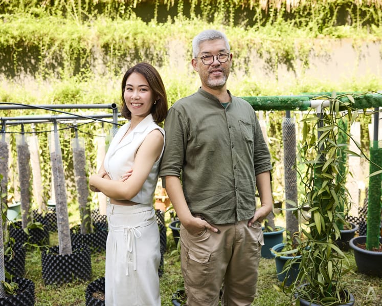 How these vanilla farmers in Singapore took their plants from HDB corridors to luxury hotels